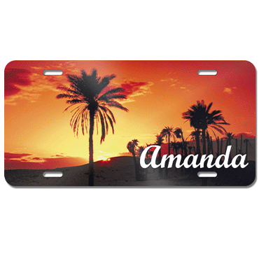 Picture for category License Plates